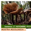 Al Parco del Circeo torna la mostra micologica